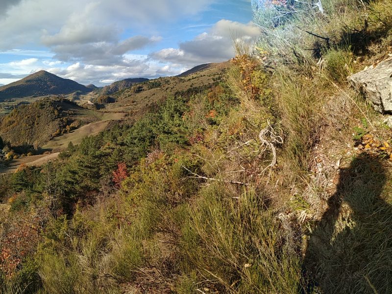 Exploitation Vue panoramique d'une vallée verdoyante avec des collines boisées et des montagnes en arrière-plan. Le paysage est éclairé par un ciel partiellement nuageux, mettant en valeur la beauté sauvage de la région.